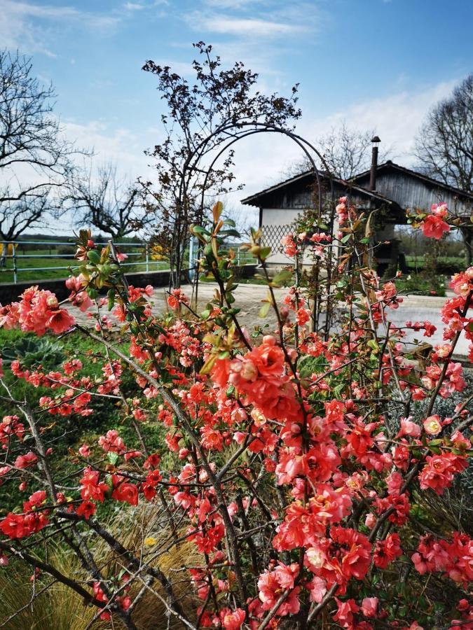 Domaine De L'Esperance, Chambre Rose Bed and Breakfast Bersaillin Exterior foto